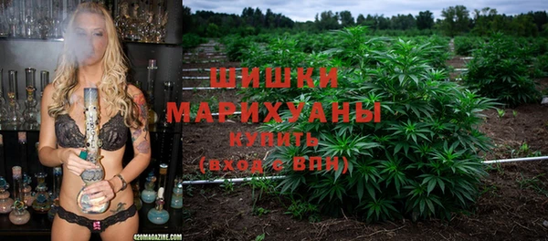 apvp Белокуриха