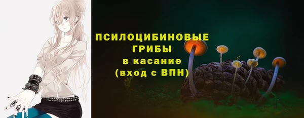apvp Белокуриха