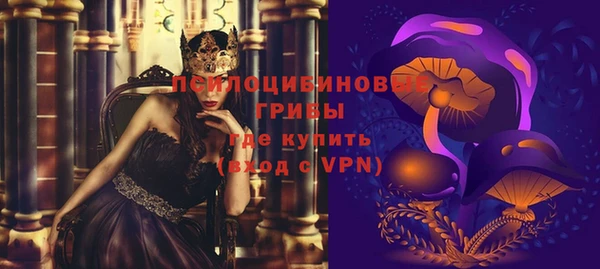 apvp Белокуриха