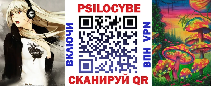 как найти наркотики  блэк спрут ONION  Псилоцибиновые грибы прущие грибы  Чишмы 